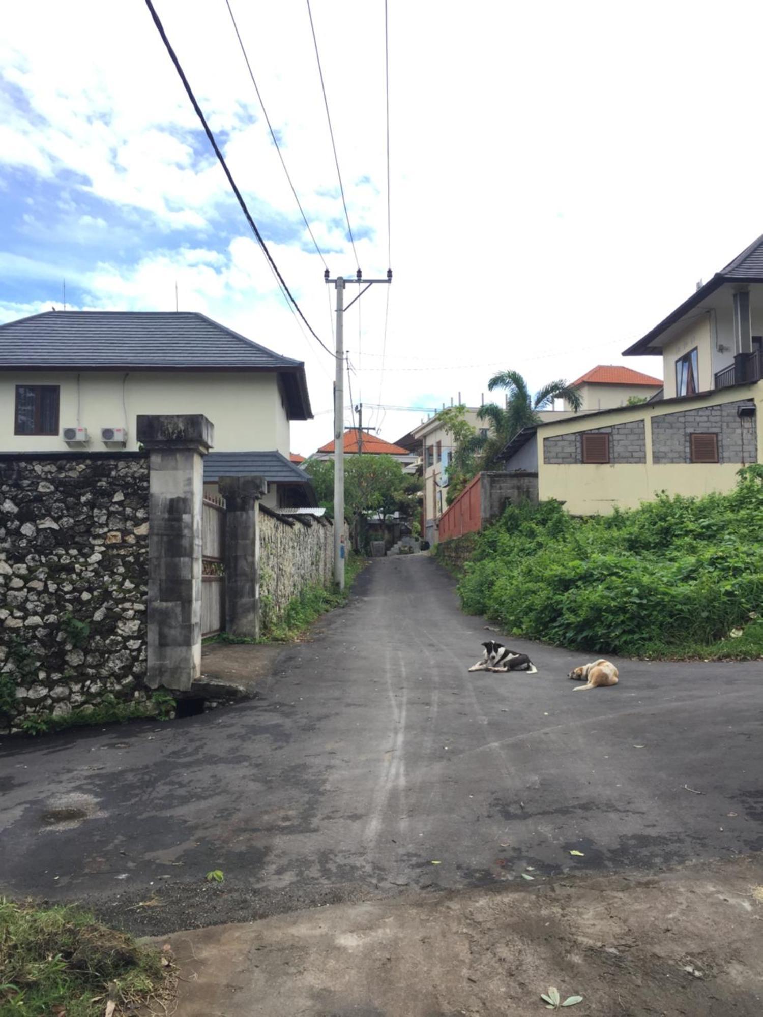 Satria Bungalow Uluwatu  Exterior photo